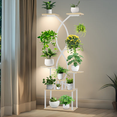 Organizador de exibição de plantas
