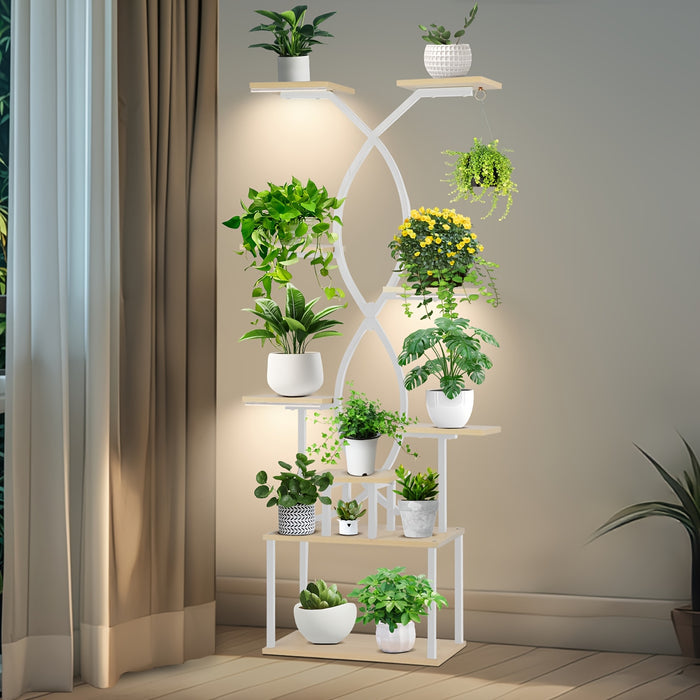 Organizador de exibição de plantas