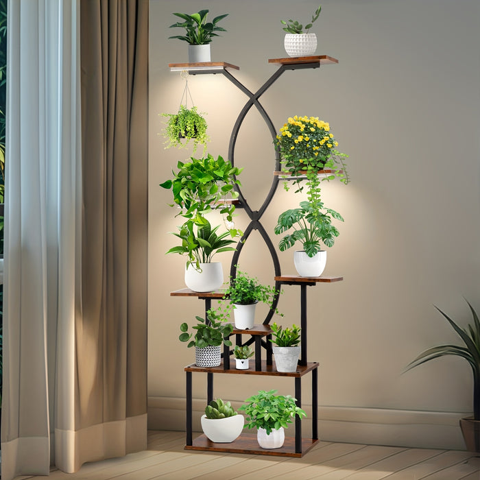 Organizador de exibição de plantas