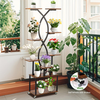 Organizador de exibição de plantas