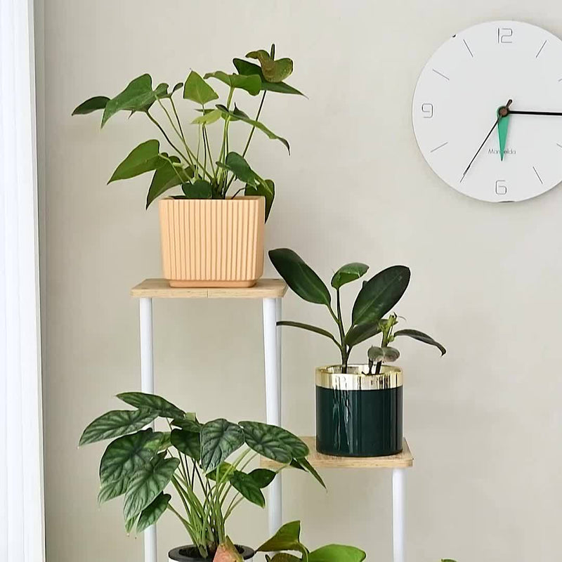 Suporte de canto para plantas, prateleira alta de metal para plantas múltiplas